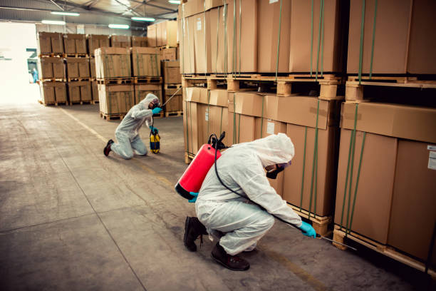 Best Pest Inspection Near Me  in Hebron Estates, KY