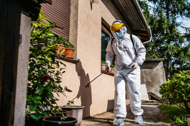 Best Mosquito Control Services  in Hebron Estates, KY