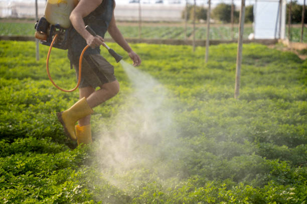 Best Pest Control Cost  in Hebron Estates, KY