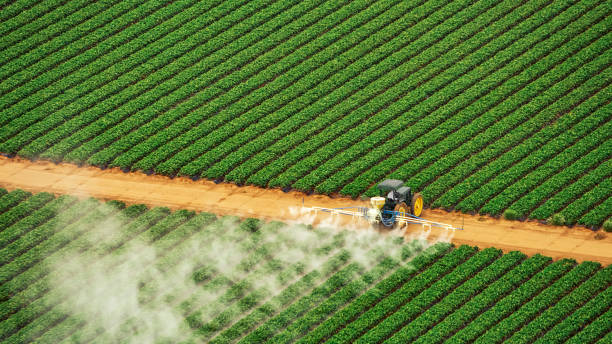 Best Pest Prevention Services  in Hebron Estates, KY