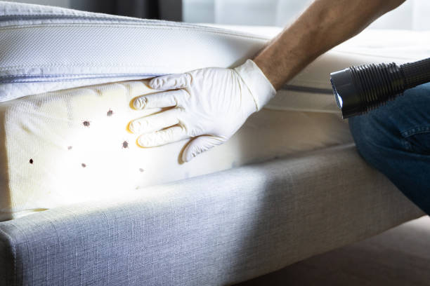 Trusted Hebron Estates, KY Pest Control Experts