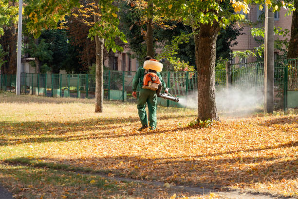 Pest Prevention Services in Hebron Estates, KY